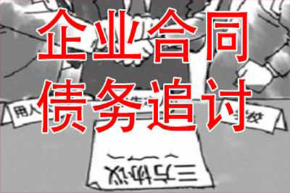 普定清债公司